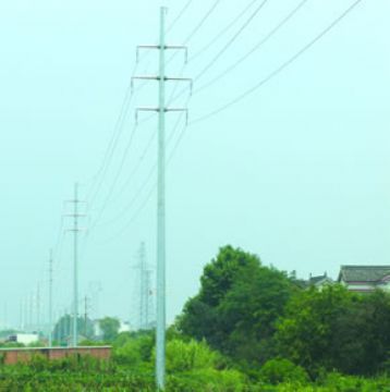 Electric Monopoles